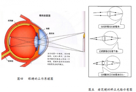 美麗島眼鏡：老花鏡不可隨意亂帶，需要在專(zhuān)業(yè)驗光后科學(xué)配制