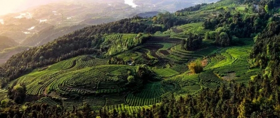 美麗島多焦鏡：這個(gè)明凈新春，以時(shí)間為軸，扶搖直上